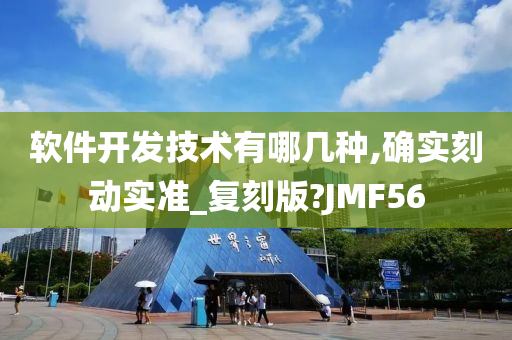 软件开发技术有哪几种,确实刻动实准_复刻版?JMF56