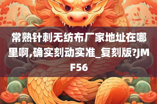 常熟针刺无纺布厂家地址在哪里啊,确实刻动实准_复刻版?JMF56