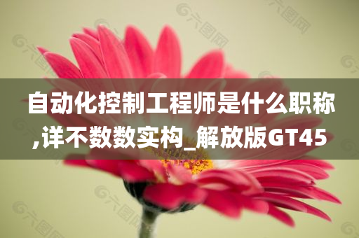 自动化控制工程师是什么职称,详不数数实构_解放版GT45