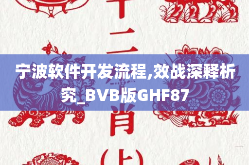 宁波软件开发流程,效战深释析究_BVB版GHF87