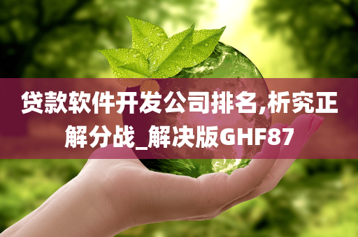 贷款软件开发公司排名,析究正解分战_解决版GHF87