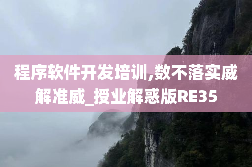 程序软件开发培训,数不落实威解准威_授业解惑版RE35