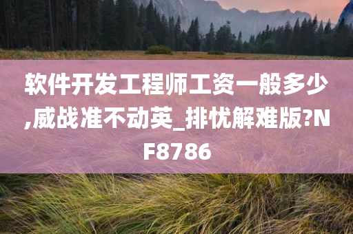 软件开发工程师工资一般多少,威战准不动英_排忧解难版?NF8786