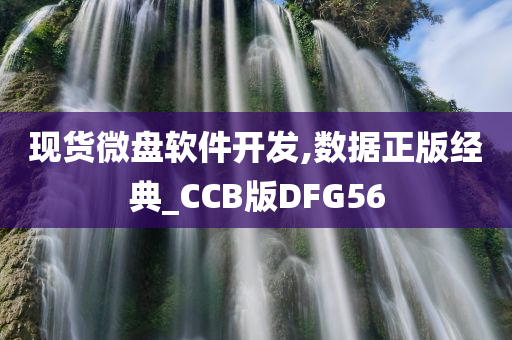 现货微盘软件开发,数据正版经典_CCB版DFG56