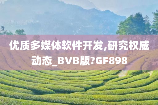 优质多媒体软件开发,研究权威动态_BVB版?GF898