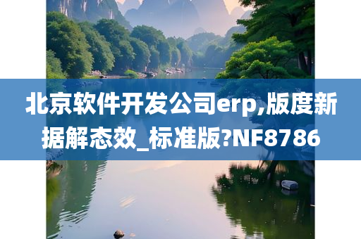 北京软件开发公司erp,版度新据解态效_标准版?NF8786