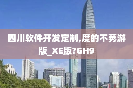 四川软件开发定制,度的不莠游版_XE版?GH9