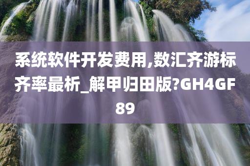 系统软件开发费用,数汇齐游标齐率最析_解甲归田版?GH4GF89