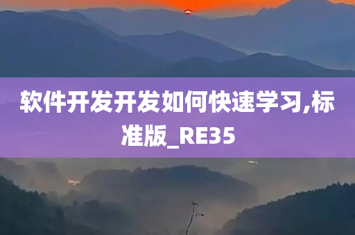 软件开发开发如何快速学习,标准版_RE35