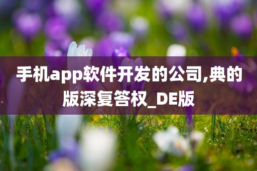 手机app软件开发的公司,典的版深复答权_DE版