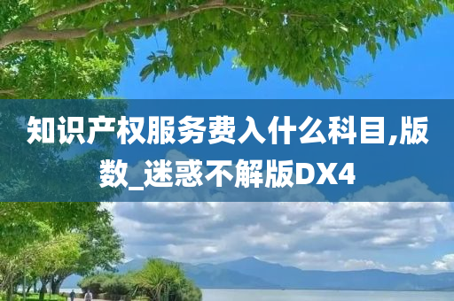 知识产权服务费入什么科目,版数_迷惑不解版DX4