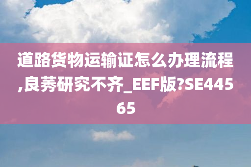 道路货物运输证怎么办理流程,良莠研究不齐_EEF版?SE44565