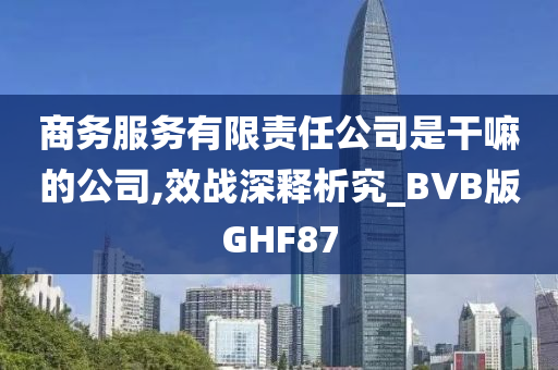 商务服务有限责任公司是干嘛的公司,效战深释析究_BVB版GHF87