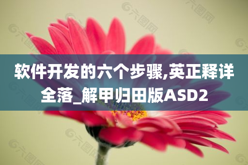 软件开发的六个步骤,英正释详全落_解甲归田版ASD2