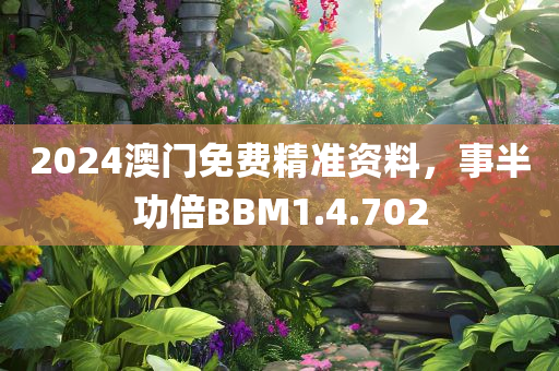 2024澳门免费精准资料，事半功倍BBM1.4.702