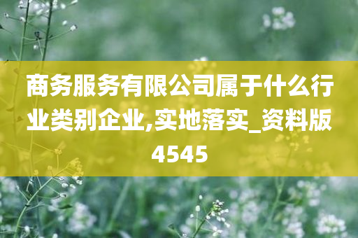 商务服务有限公司属于什么行业类别企业,实地落实_资料版4545