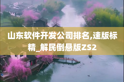 山东软件开发公司排名,速版标精_解民倒悬版ZS2