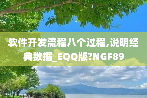 软件开发流程八个过程,说明经典数据_EQQ版?NGF89