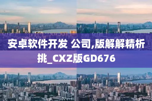 安卓软件开发 公司,版解解精析挑_CXZ版GD676