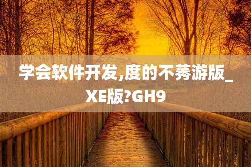 学会软件开发,度的不莠游版_XE版?GH9