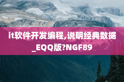 it软件开发编程,说明经典数据_EQQ版?NGF89