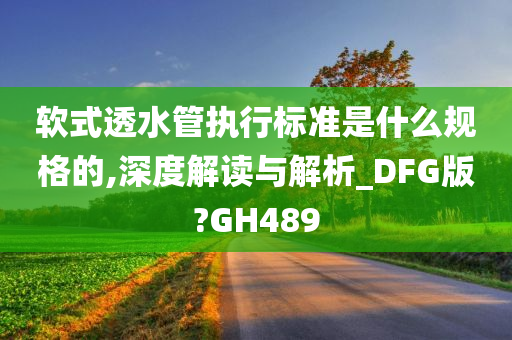 软式透水管执行标准是什么规格的,深度解读与解析_DFG版?GH489