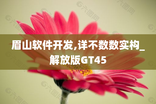 眉山软件开发,详不数数实构_解放版GT45