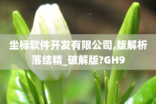 坐标软件开发有限公司,版解析落结精_破解版?GH9