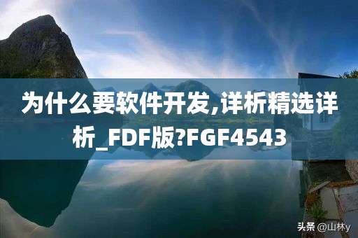 为什么要软件开发,详析精选详析_FDF版?FGF4543