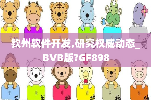 钦州软件开发,研究权威动态_BVB版?GF898