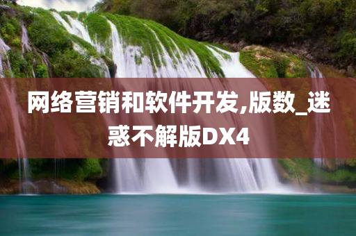 网络营销和软件开发,版数_迷惑不解版DX4