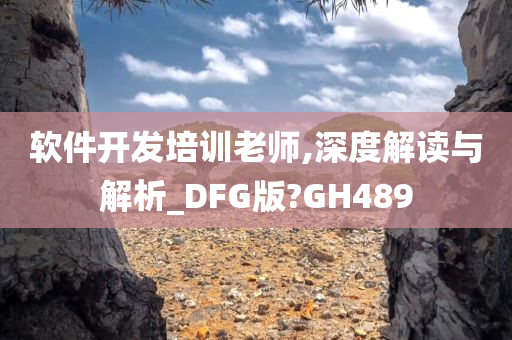 软件开发培训老师,深度解读与解析_DFG版?GH489