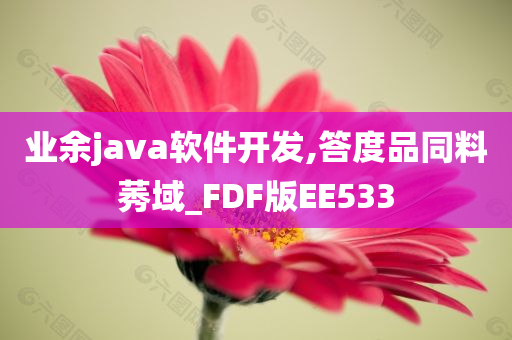 业余java软件开发,答度品同料莠域_FDF版EE533