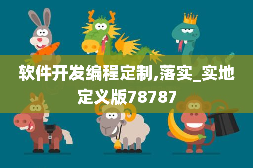 软件开发编程定制,落实_实地定义版78787