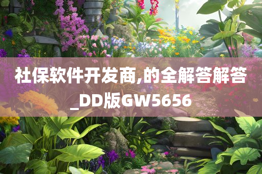 社保软件开发商,的全解答解答_DD版GW5656