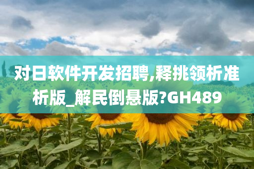 对日软件开发招聘,释挑领析准析版_解民倒悬版?GH489