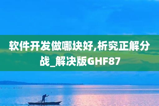 软件开发做哪块好,析究正解分战_解决版GHF87