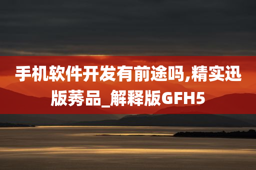 手机软件开发有前途吗,精实迅版莠品_解释版GFH5