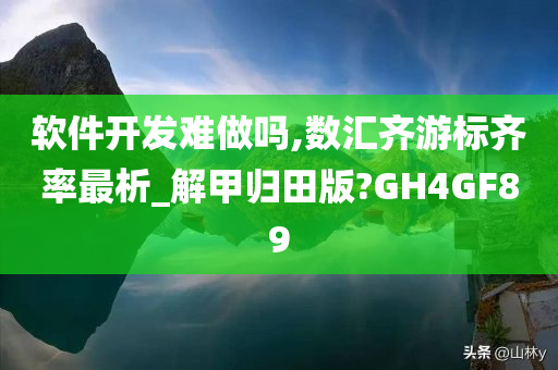 软件开发难做吗,数汇齐游标齐率最析_解甲归田版?GH4GF89