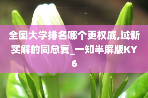 全国大学排名哪个更权威,域新实解的同总复_一知半解版KY6