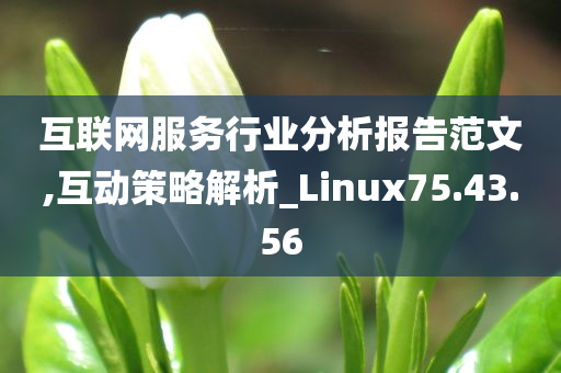 互联网服务行业分析报告范文,互动策略解析_Linux75.43.56