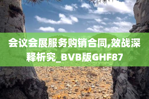 会议会展服务购销合同,效战深释析究_BVB版GHF87