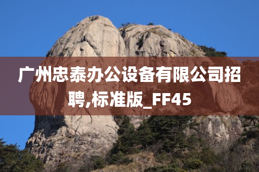 广州忠泰办公设备有限公司招聘,标准版_FF45