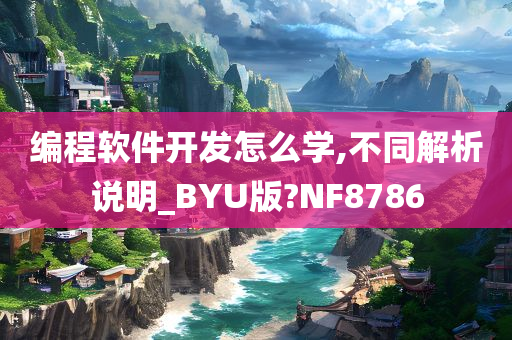 编程软件开发怎么学,不同解析说明_BYU版?NF8786