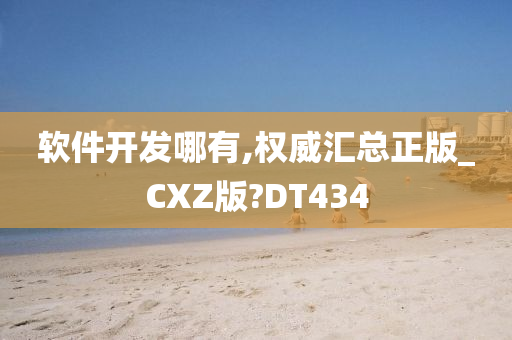 软件开发哪有,权威汇总正版_CXZ版?DT434