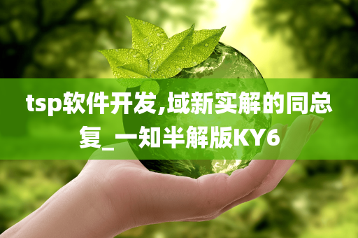 tsp软件开发,域新实解的同总复_一知半解版KY6