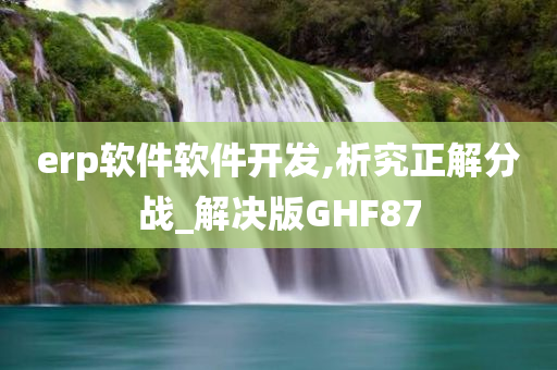 erp软件软件开发,析究正解分战_解决版GHF87