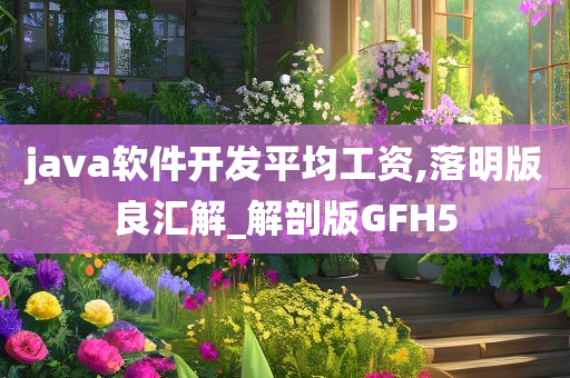 java软件开发平均工资,落明版良汇解_解剖版GFH5