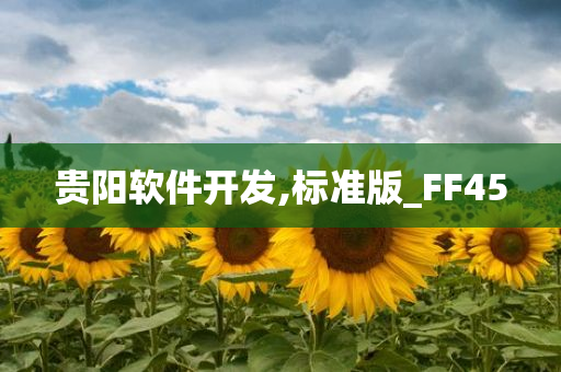 贵阳软件开发,标准版_FF45