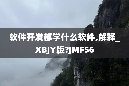 软件开发都学什么软件,解释_XBJY版?JMF56